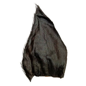 Doodles Deli Hairy Buffalo Ear Doodles Deli Hairy Buffalo Ear