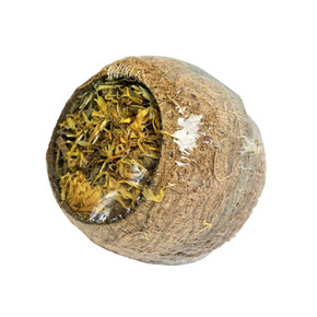 Happy Pet Forage Filled Coconut Happy Pet Forage Filled Coconut