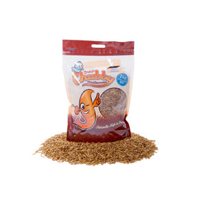 Chubby Mealworms Chubby Mealworms