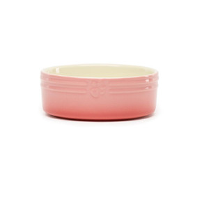 Scruffs Ombre Food Bowl Pink