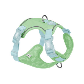 Little Ginger Control Harness Spearmint
