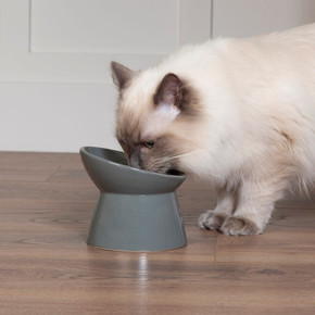 Scruffs® Classic Raised Cat Bowl in grey
