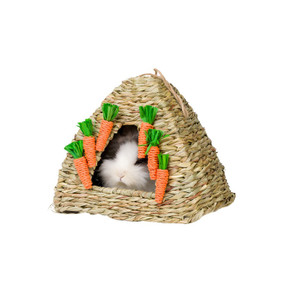 Go Forage Carrot Hut Hideaway for small pets
