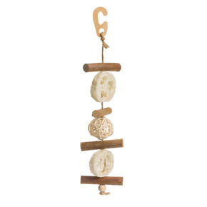 Go Forage Hanging Willow & Loofah for small pets