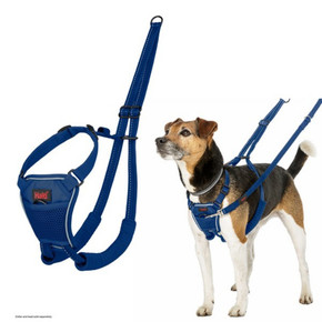 Coa Halti No Pull Harness Blue in Two Sizes