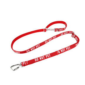 Twiggy Tags Awareness Multiway Do Not Pet Dog Lead 