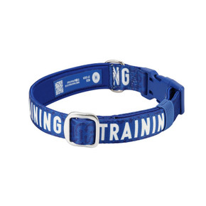 Twiggy Tags Awareness Dog Collar Training Large 