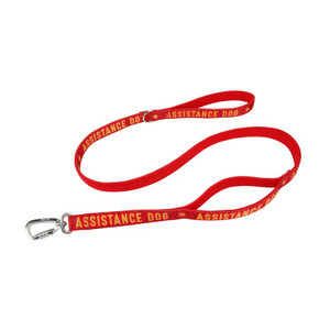 Twiggy Tags Awareness Close Control Assistance For Dogs