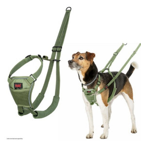 Coa Halti No Pull Harness Green 