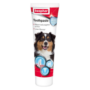 Beaphar Toothpaste 100g For Dogs And Cats