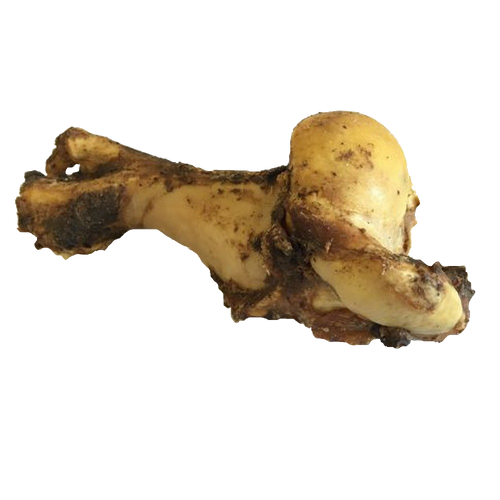 Dog Treats - WHOLE BONE