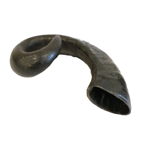 Dog Treats - BUFFALO HORN Large