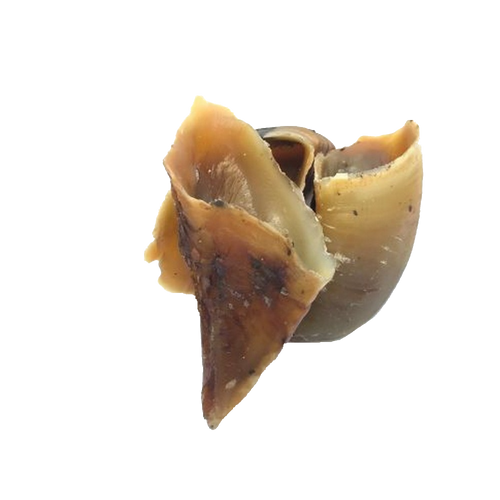 Dog Treats - EMPTY HOOVES