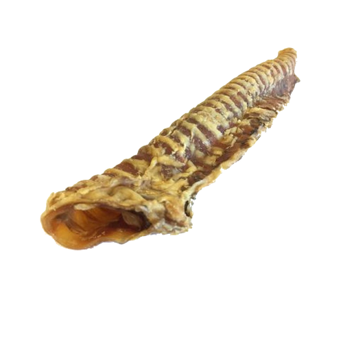 TRACHEA 10" Beef