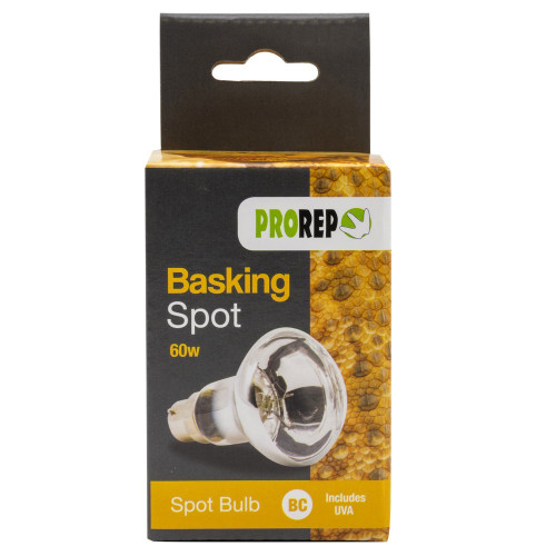 Pr basking spotlamp 60w bc