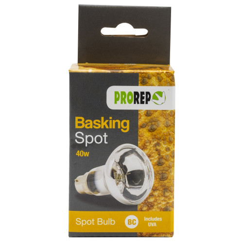 Pr basking spotlamp 40w bc