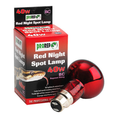 Pr red nightspotlamp 40w bc