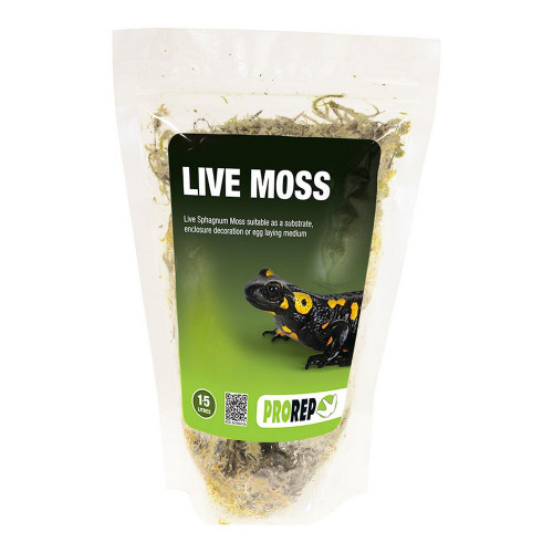 Pr live moss sml bag