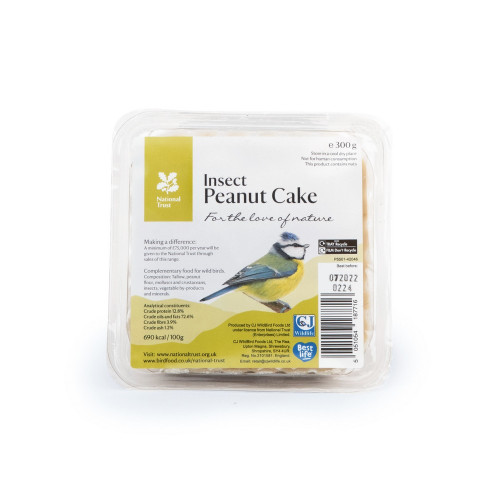 National Trust Insect Peanut Cake