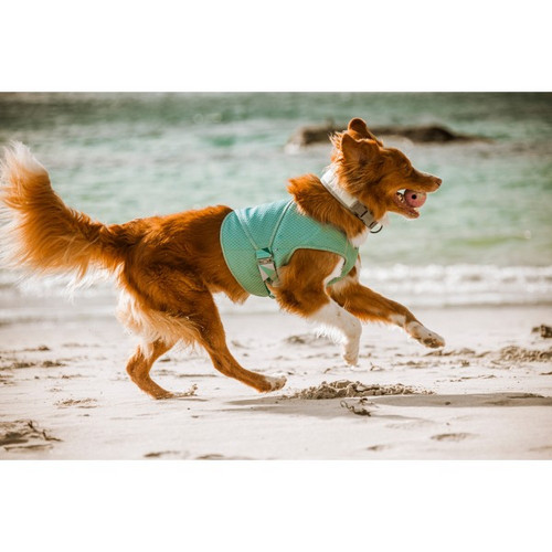 Hurtta Cooling Wrap Aquamarine for Dogs