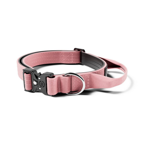 BullyBillows Combat Collar Pink XS-M
