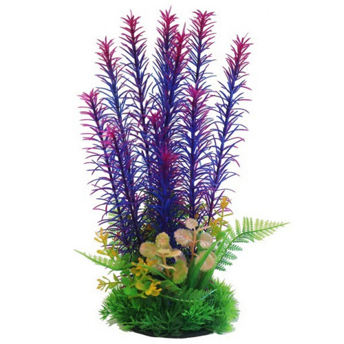 Betta Plant Purple 9"