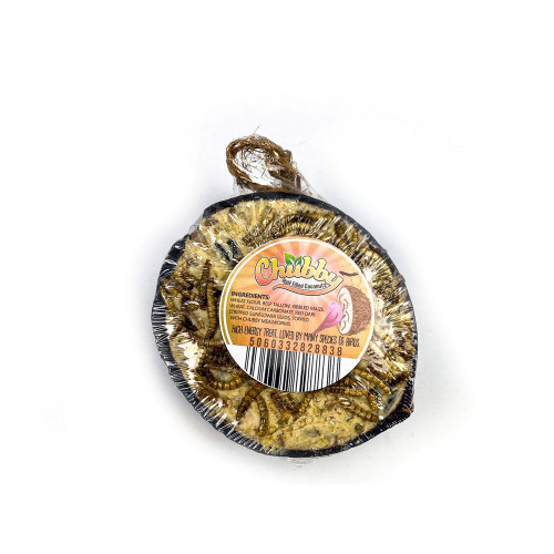 Chubby Half Filled Coconut Mealworm