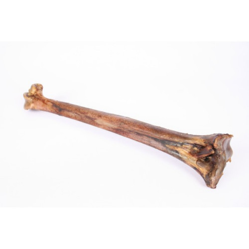 Doodles Deli Ostrich Mini Caveman Bone