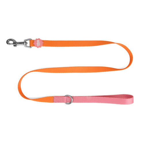 Little Ginger Two-Tone Lead Tutti-Fruity 120cm