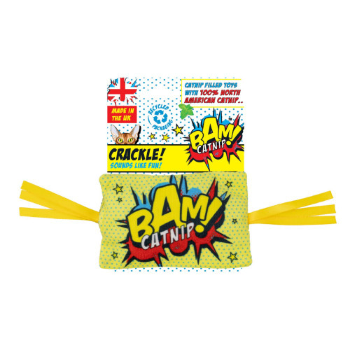 Bam Crackle Pillow Cat Toy