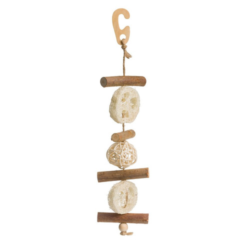 Go Forage Hanging Willow & Loofah for small pets
