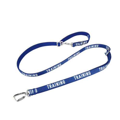 Twiggy Tags Awareness Multiway Training