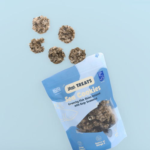 Years_Sea_Cookies_100G