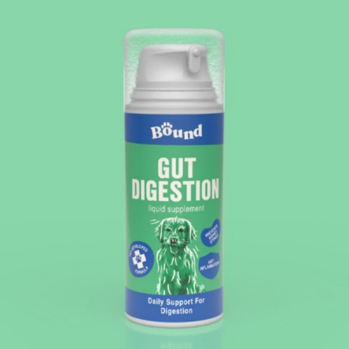 Bound Gut Digestion 100Ml For Dogs DAILY JOINT SUPPORT