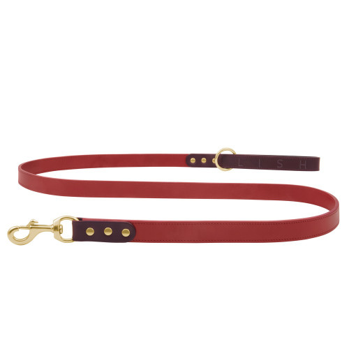 Lish Spencer Lead