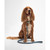 Barbour Blue Leather Dog Lead