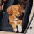 Tavo Crispin Pet Travel Crate
