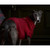 Barbour Saltburn Dog Jumper Red