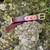 Lish Spencer Collar