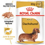 Royal Canin Pouch Dog