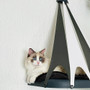 Catipilla Teepee