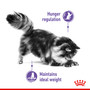 Royal Canin Cat Care Appetite Control