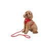 Doodlebone Originals Snappy Dog Harness Ruby