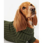 Barbour Saltburn Dog Jumper - Olive