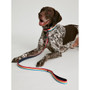 Joules Rainbow Stripe Lead