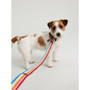 Joules Rainbow Stripe Lead