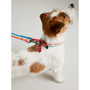 Joules Rainbow Stripe Lead