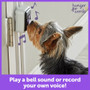 Hunger For Words Talking Pet Doorbell