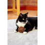 Rosewood Cat Naturals Willow & Catnip Ball