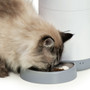 Catit Pixi Smart Feeder